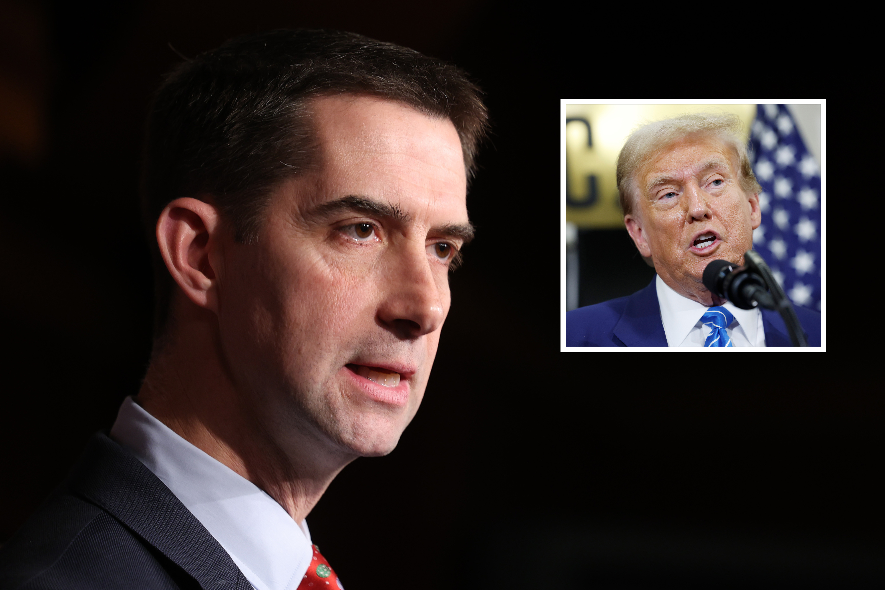 Tom Cotton Confronted With 2020 Remark on Trump Peacefully Leaving Office - Newsweek