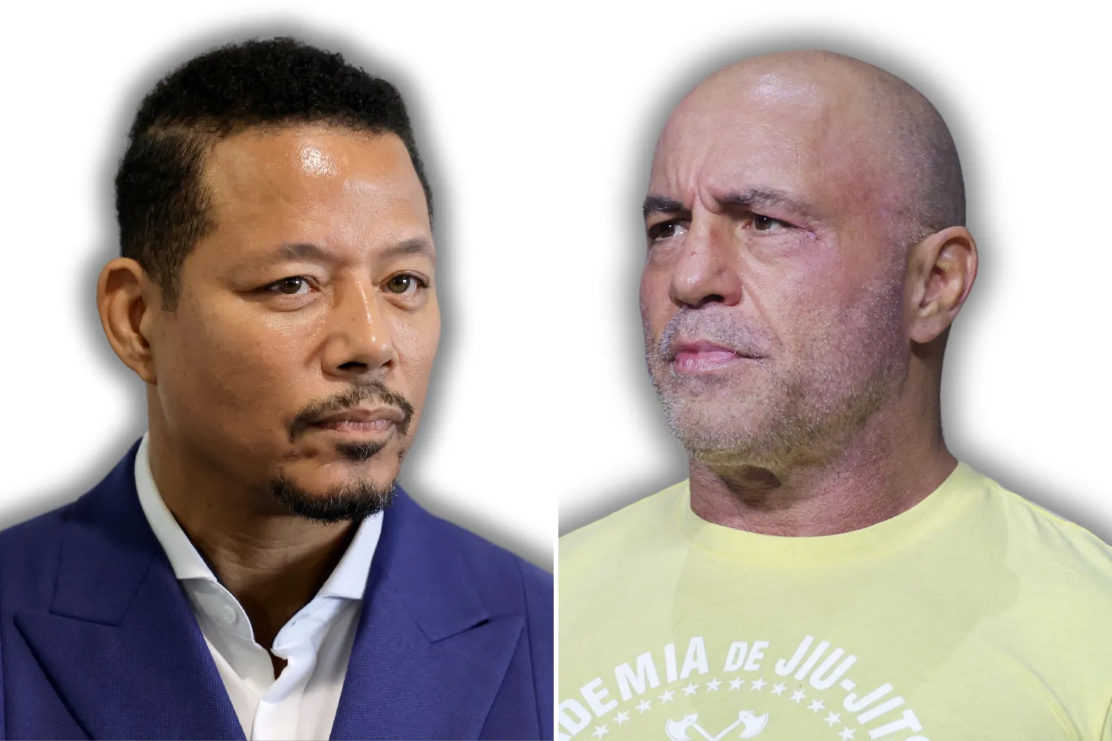Joe Rogan Questions Terrence Howard Podcast Claims - Newsweek, image size:1600x1066