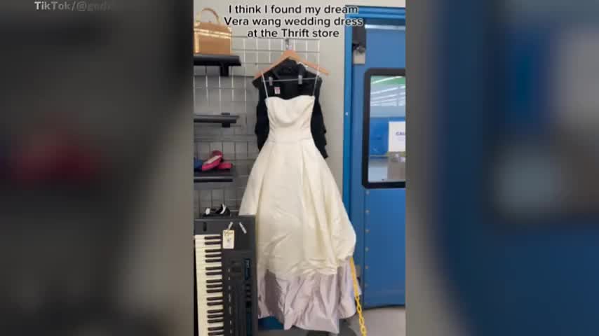 Woman Finds Vera Wang Wedding Dress in Thrift StoreBut There's One Problem  - Newsweek
