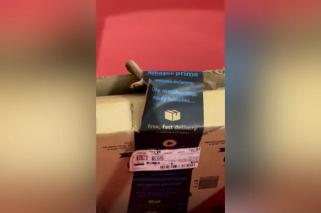 Woman Orders Xbox Controller From Amazon, Gets Live Snake Instead ...