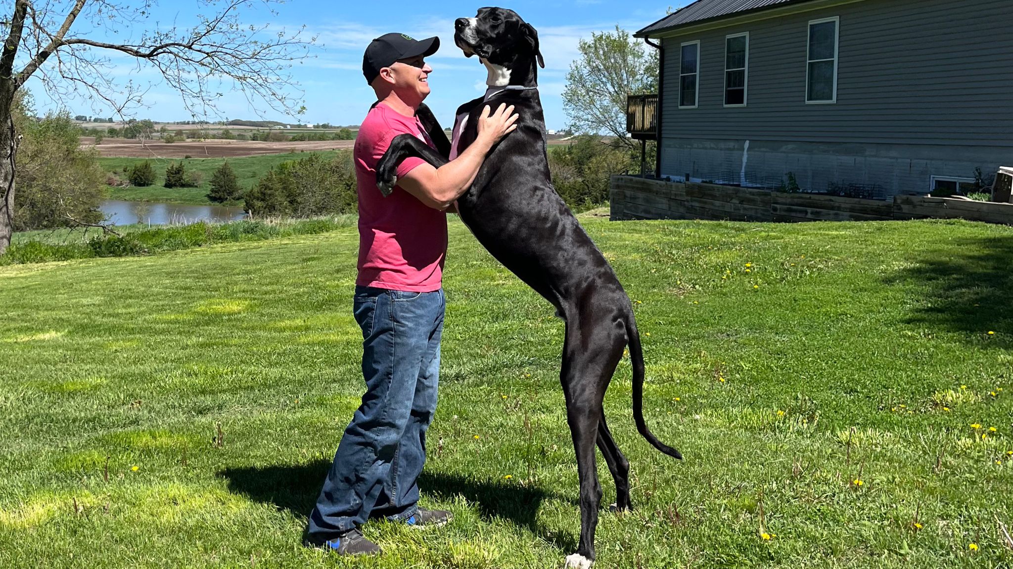 World's Tallest Dog Dies Shortly After Guinness Record - Newsweek