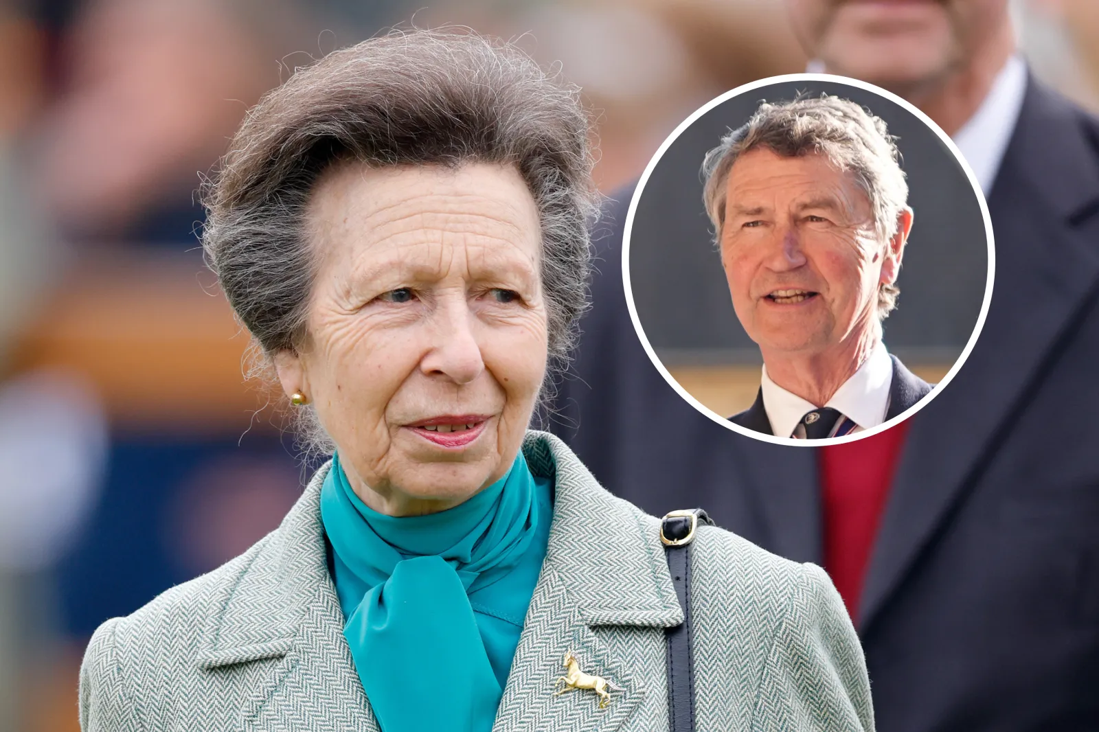 Update Princess Anne Princess Anne Health Update Given by Husband - Newsweek