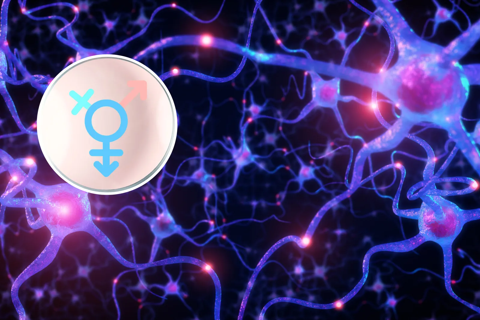 Neuroscientists Reveal Key Brain Differences Between Sex and Gender ...