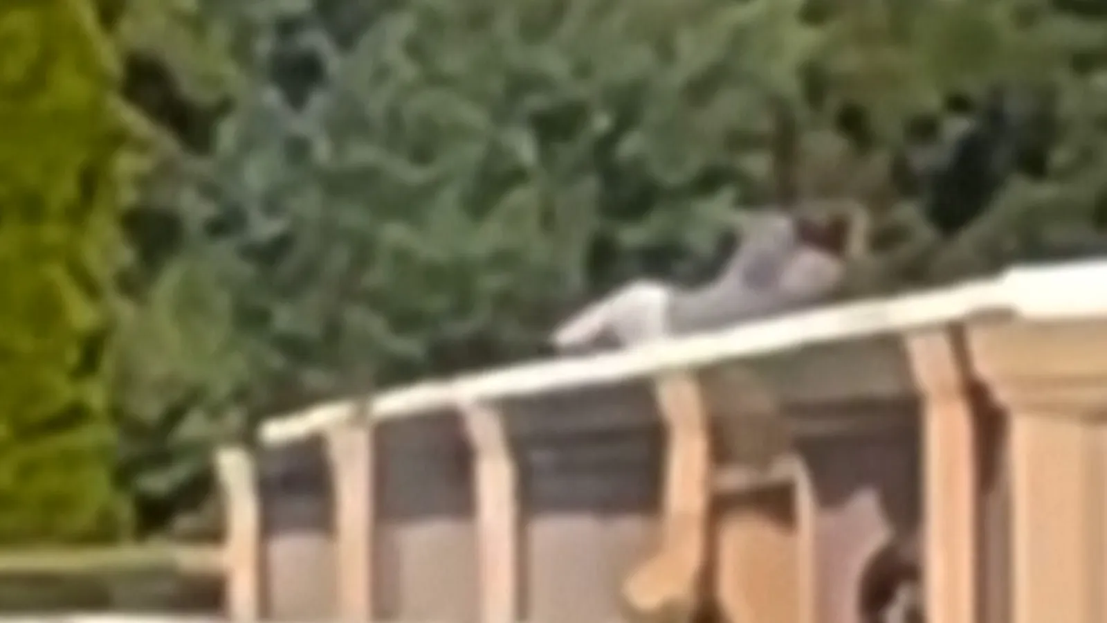 New Video Shows Thomas Matthew Crooks Moments Before Assassination Attempt