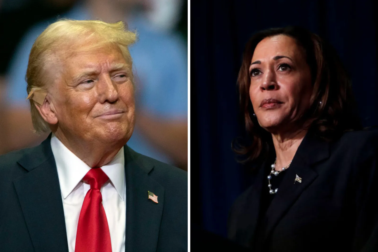Kamala Harris vs. Donald Trump: Where They Stand on 5 Key Science ...