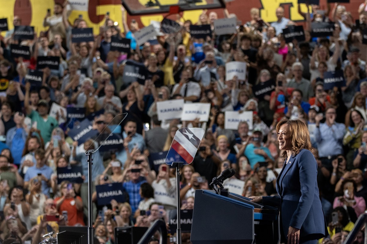 Viral Photo of Kamala Harris Rally Crowd Has One Big Problem - Newsweek