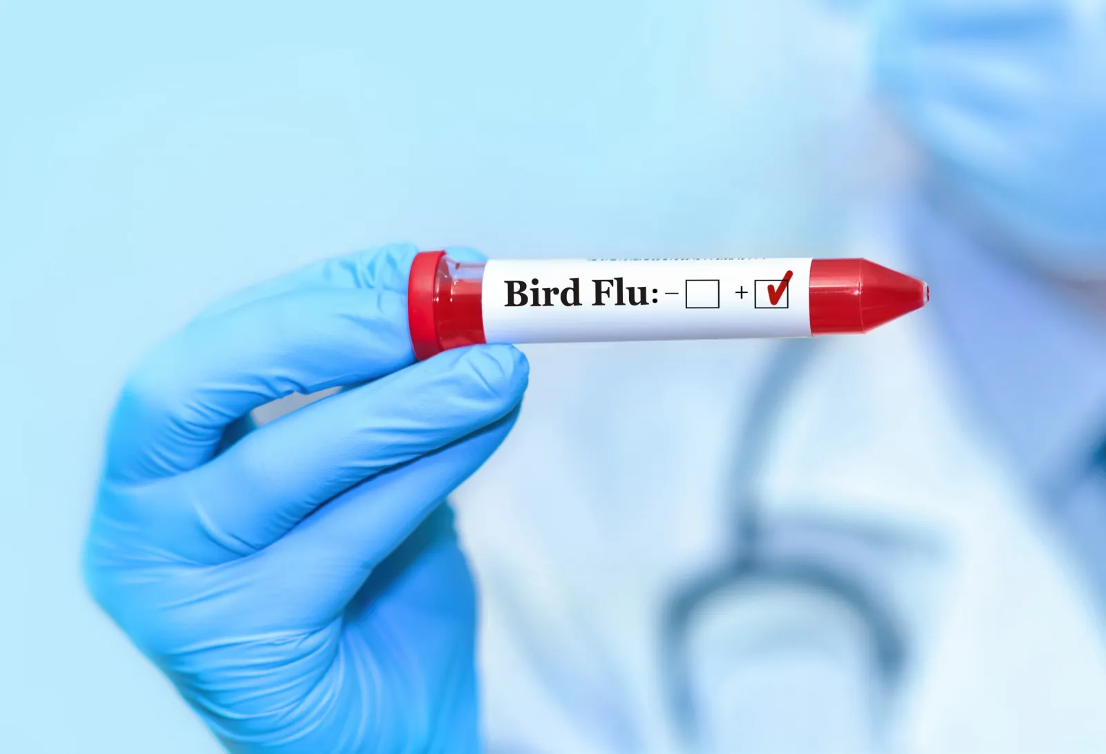 US Bird Flu Outbreak Seeing ‘Sustained’ Spread Between Mammals, Study ...