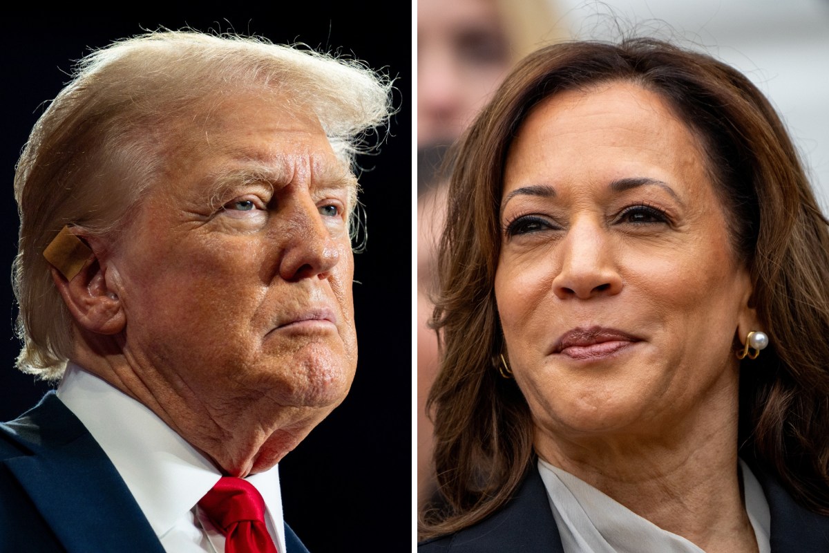 Donald Trump Leads Kamala Harris Among Gen Z Voters In New Poll - Newsweek