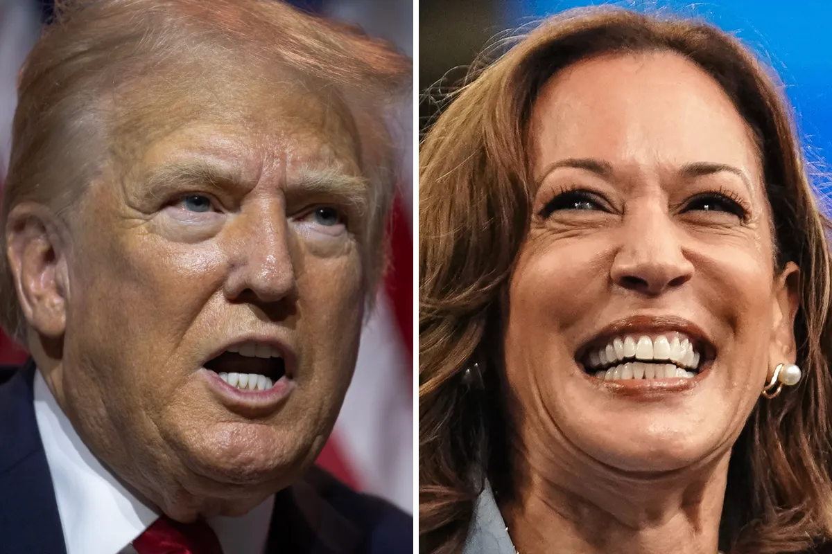 Kamala Harris Leads Trump in Three Pivotal Swing States: Polling ...