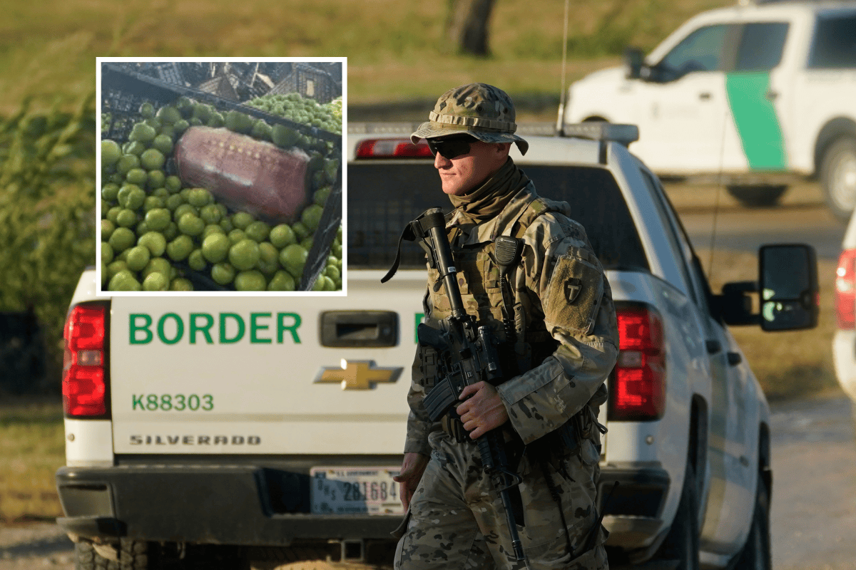 Border Agents Seize 378 Pounds Of Meth Hidden In Tomatillos Shipment ...