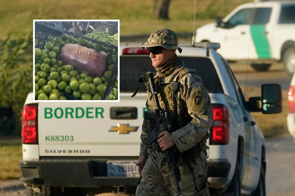 Border Agents Seize 378 Pounds Of Meth Hidden In Tomatillos Shipment ...