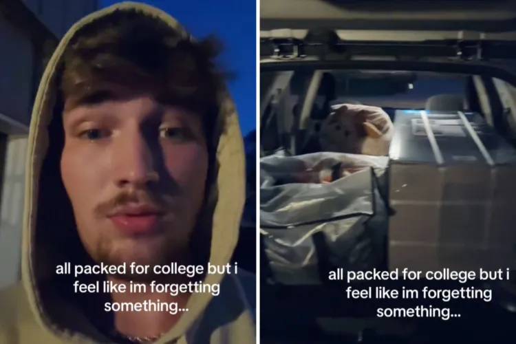 Owner Pack Heartbreak at Dog’s Face as Owner Packs for College: ‘Forgetting ...