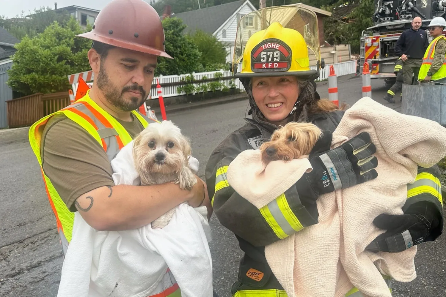 Moment Two Dogs Rescued From House Destroyed in Deadly Alaska Landslide ...