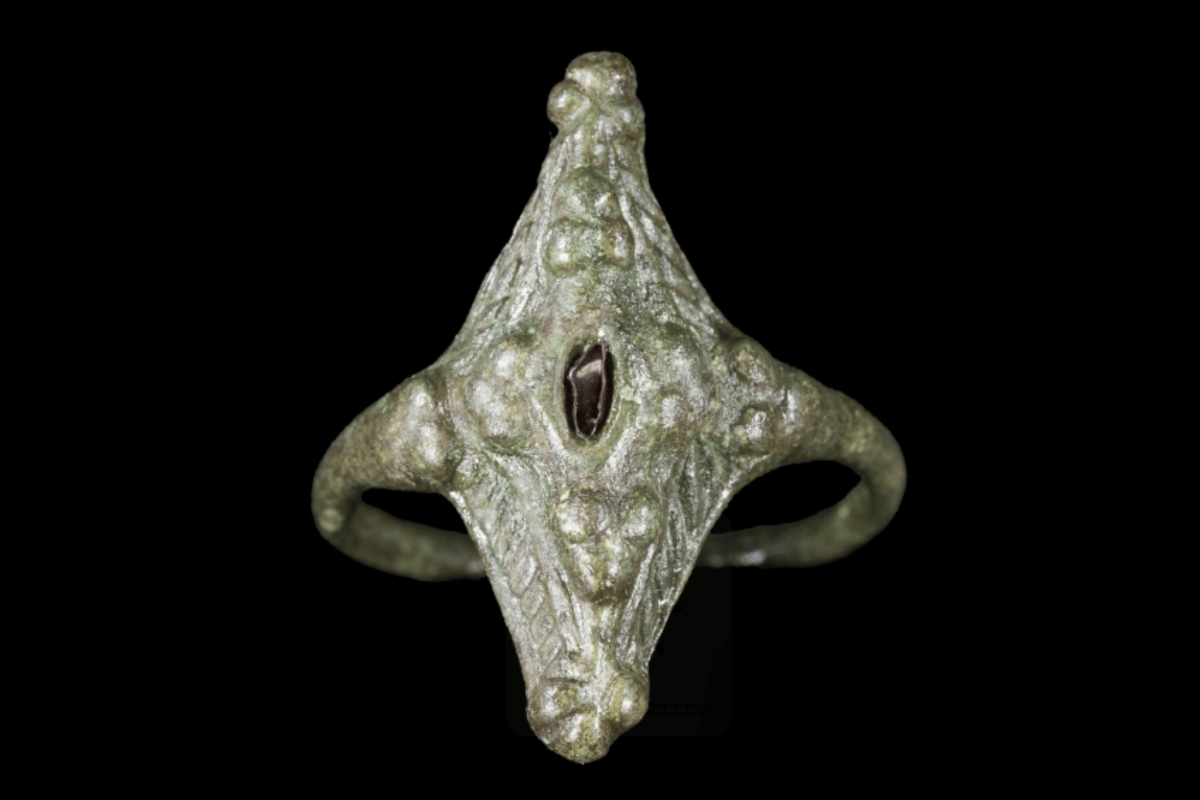 Historical Rings ‘Truly Remarkable’ Early Medieval Ring With Intricate Design Discovered ...