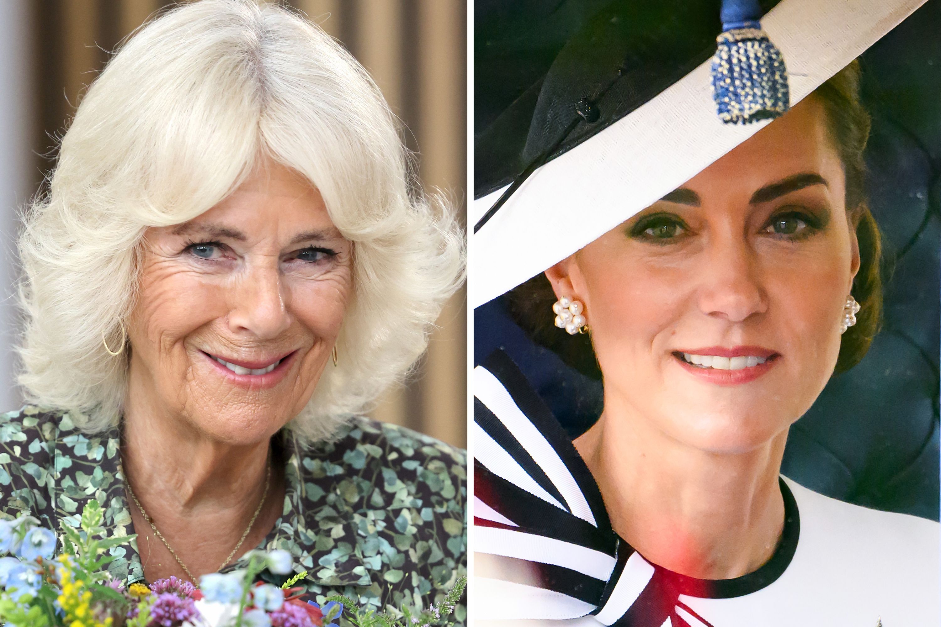 Princess Kate Pushing Camilla Out Viral Claim Debunked - Newsweek