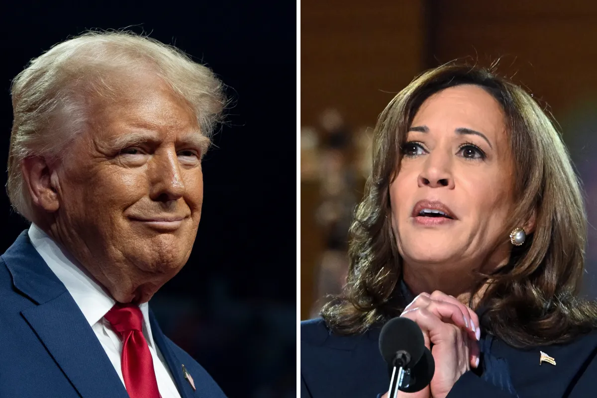 What Polls Say Ahead of Kamala Harris, Donald Trump Debate - Newsweek