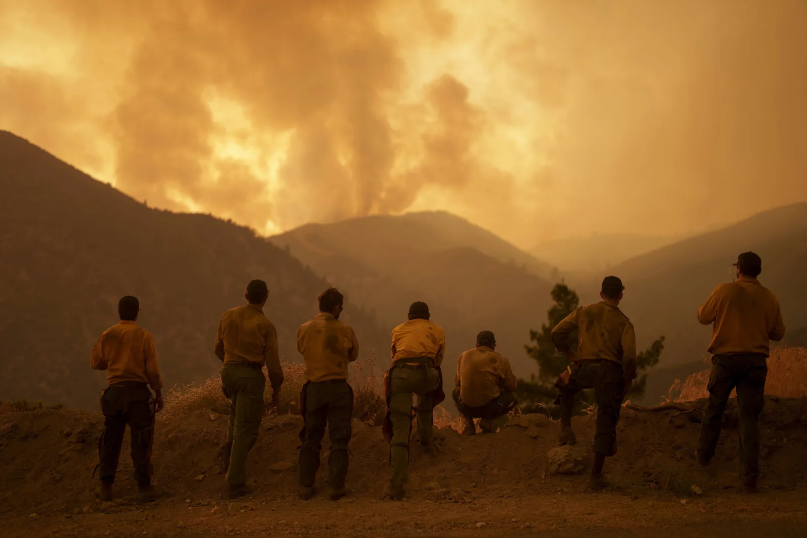California Line Fire Update: Man Arrested for Allegedly Starting Blaze ...