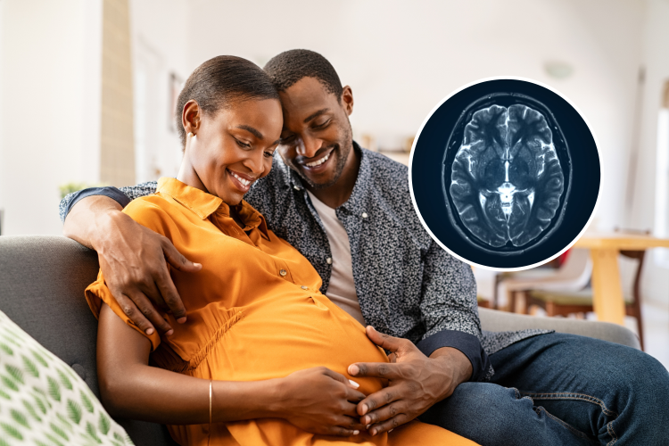 Baby Brain: How Pregnancy Changes Your Gray and White Matter Revealed ...