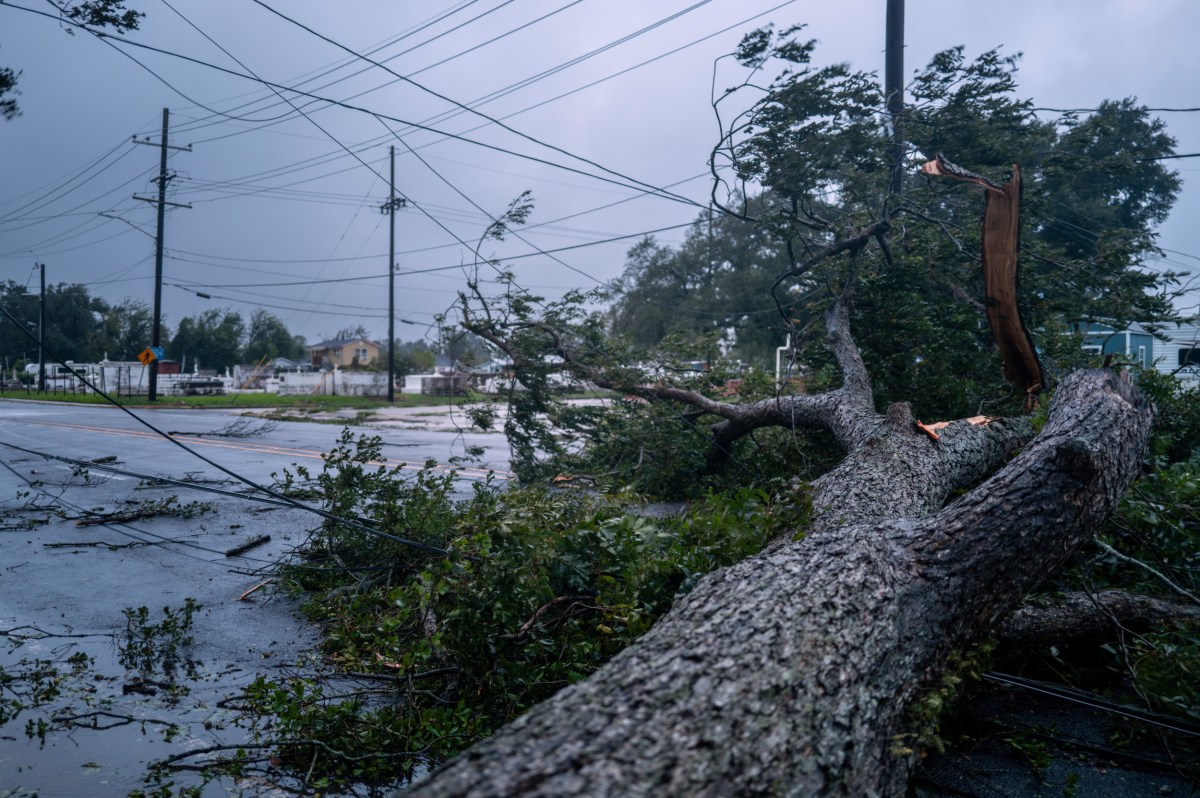 Joe Biden Declares Disaster in Louisiana - Newsweek