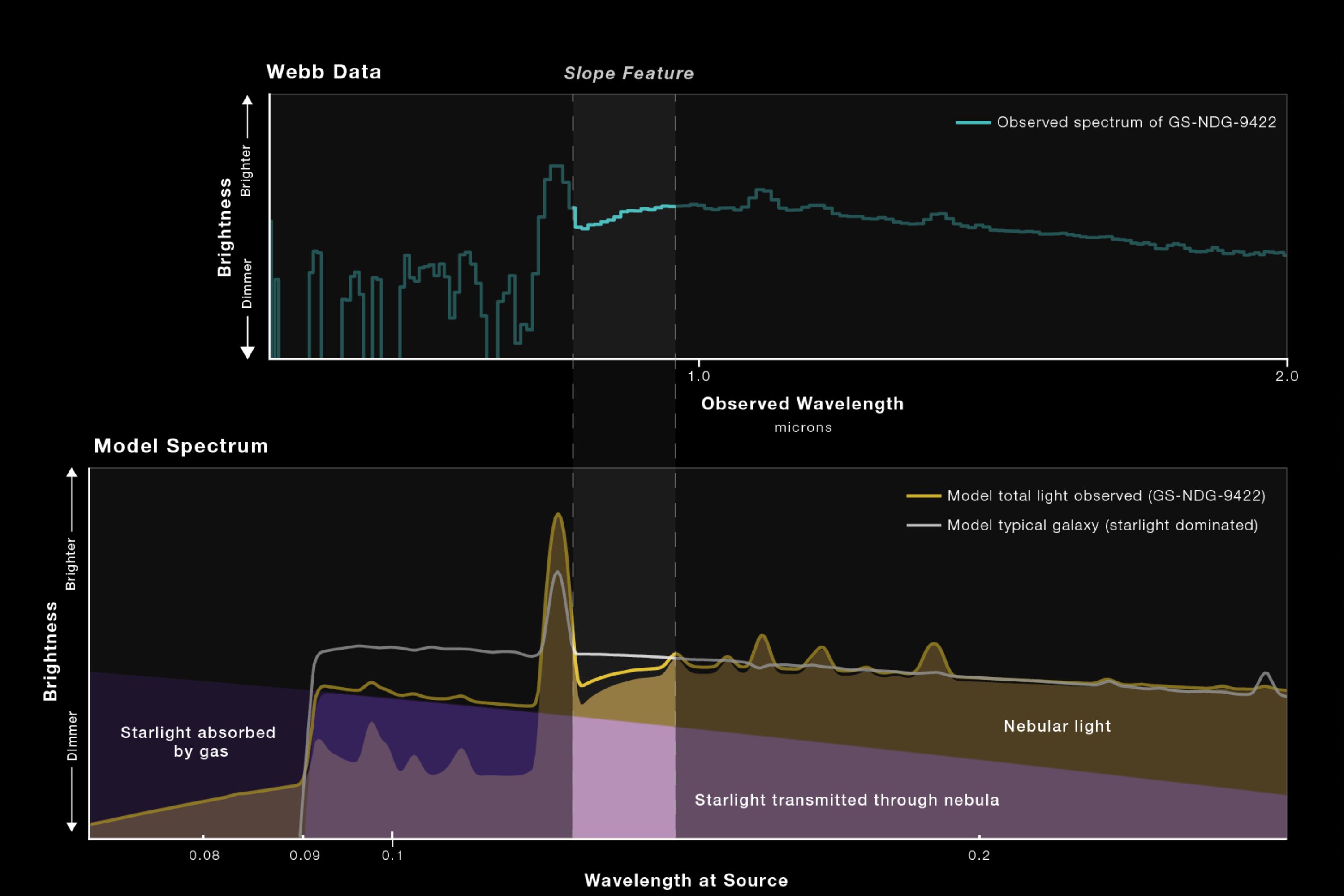 【程度良し！】NGR 5'6\