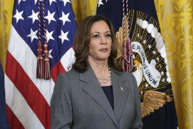 Kamala Harris Leads Donald Trump in Six Swing States: New Poll - Newsweek