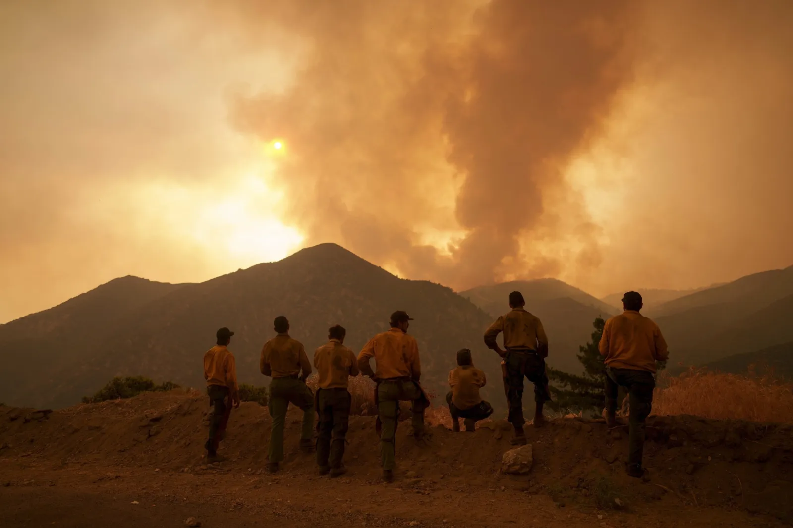 Line Point Fire Line Fire Latest: San Bernardino Wildfire Sparks New Evacuations - Newsweek