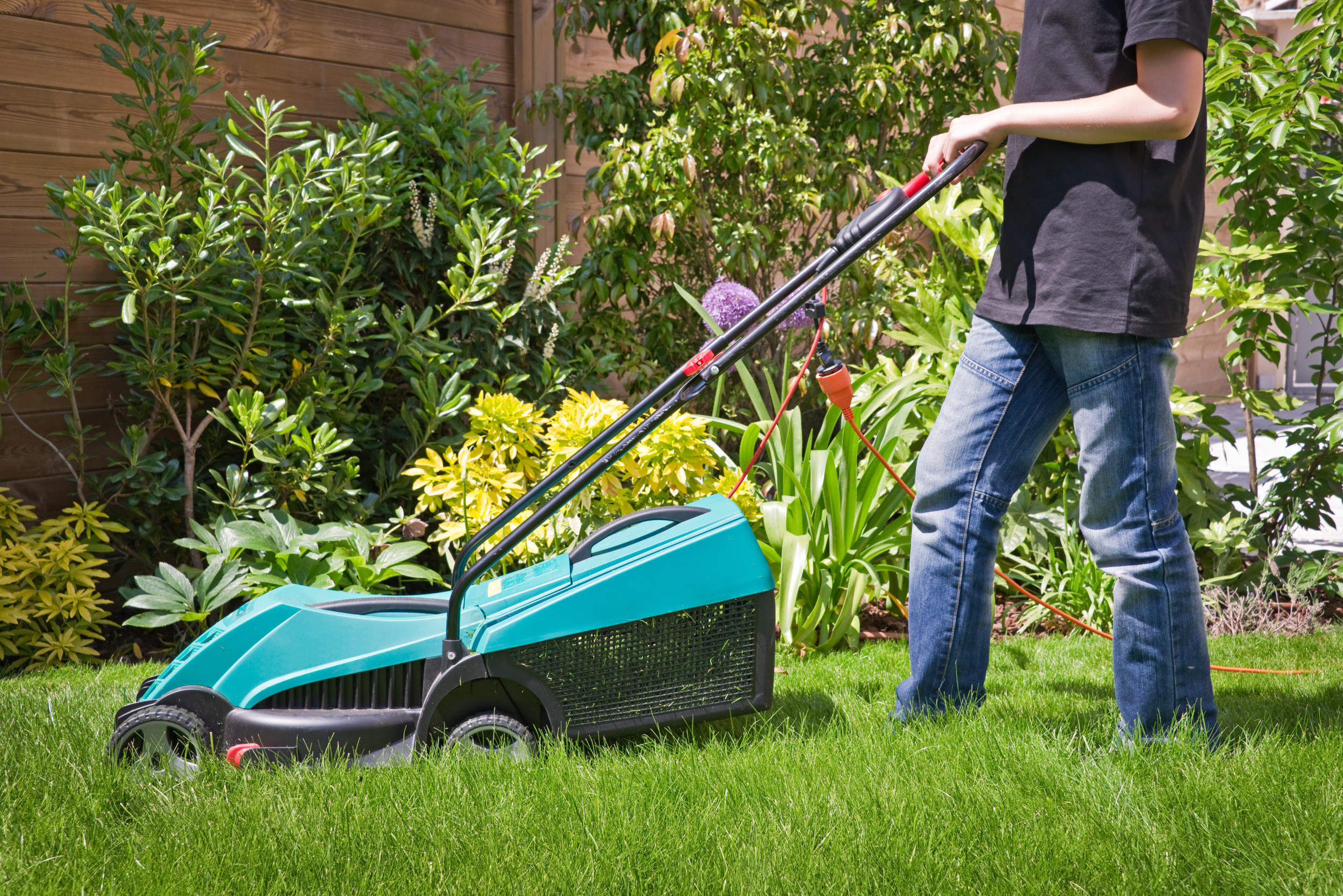 Spring Lawn Care: Start Now for a Greener Year Ahead
