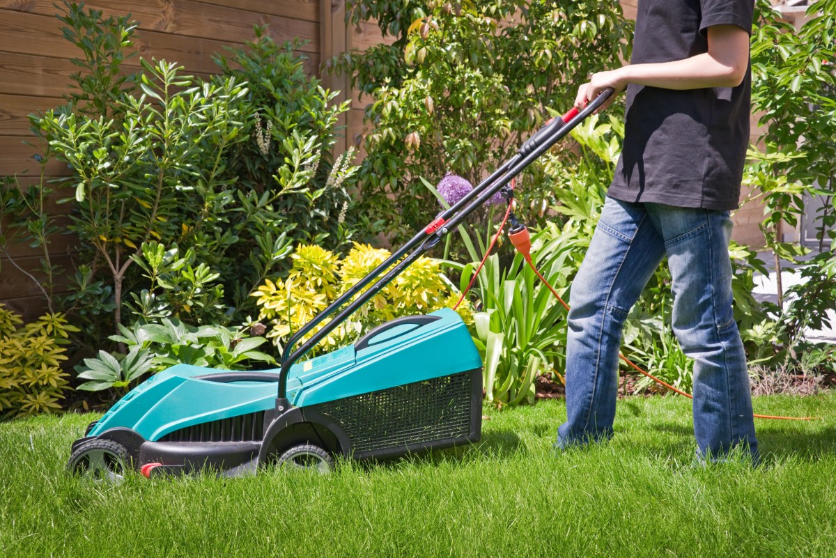 Spring Lawn Care: Start Now for a Greener Year Ahead