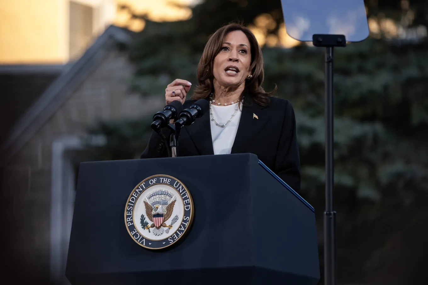 Kamala Harris Holds Record Lead Over Donald Trump in New Poll - Newsweek