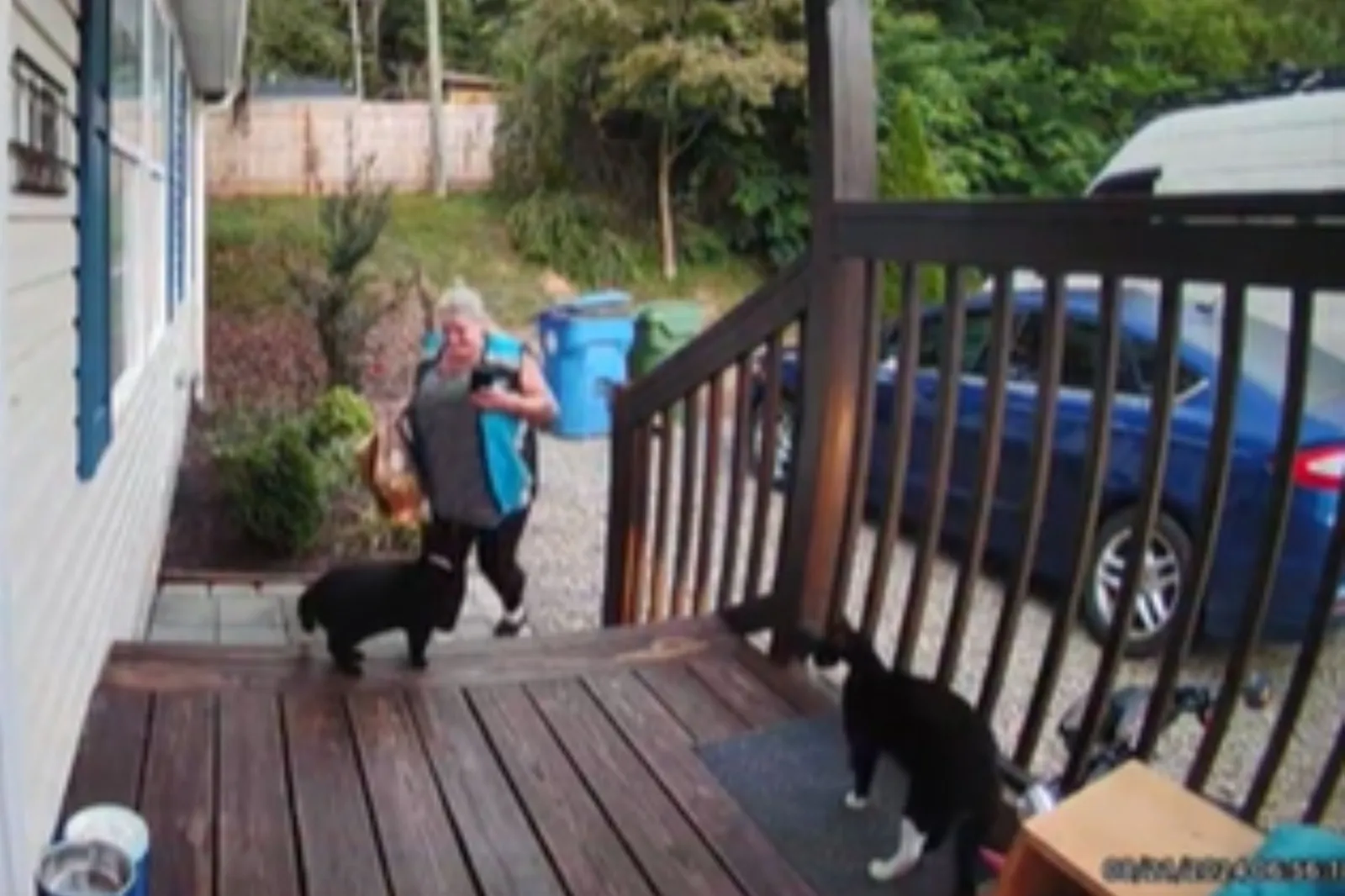 Home CCTV Captures Unexpected Interaction Between Delivery Driver and ...