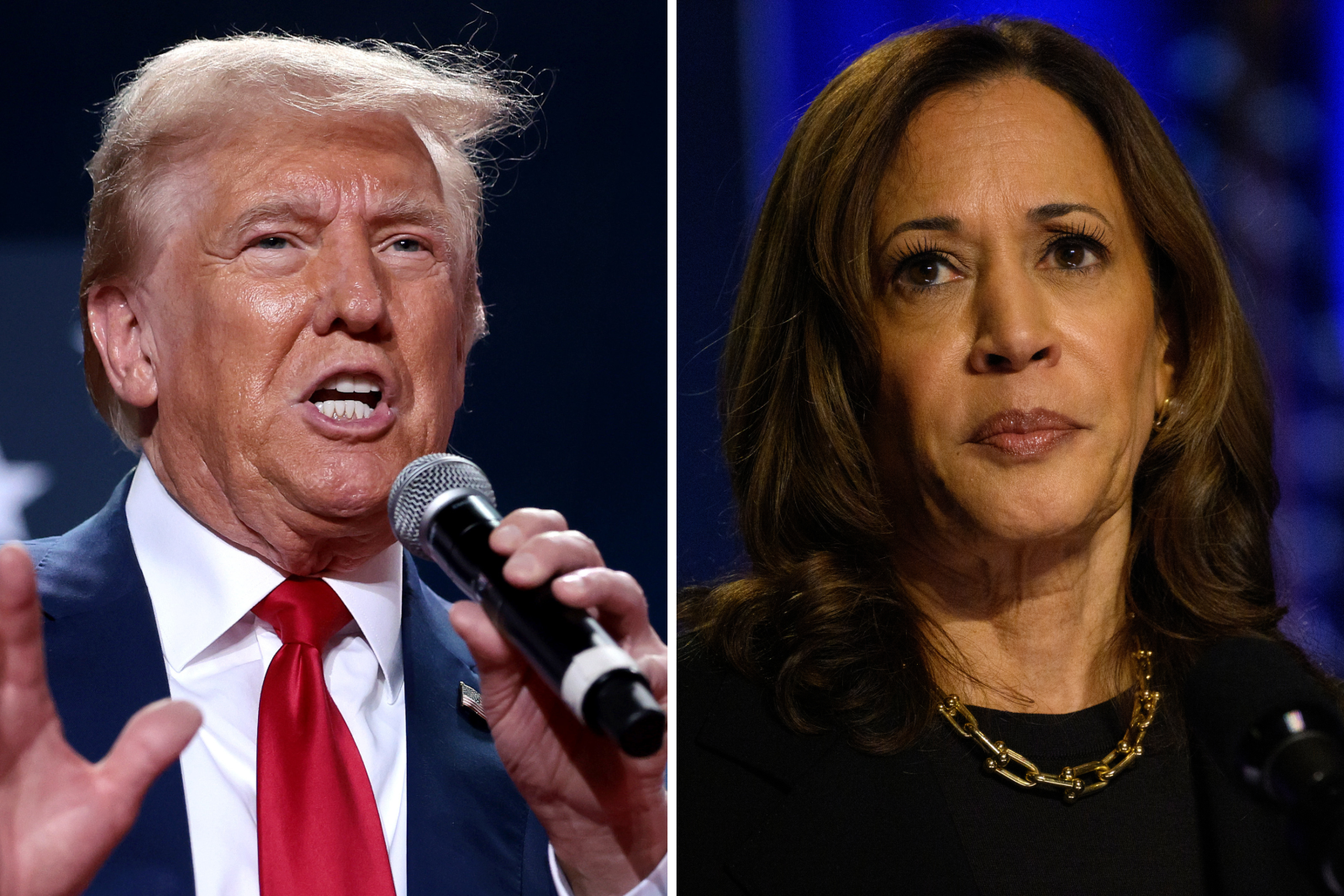 Kamala Harris Leads Pennsylvania District Donald Trump Won in 2020 ...