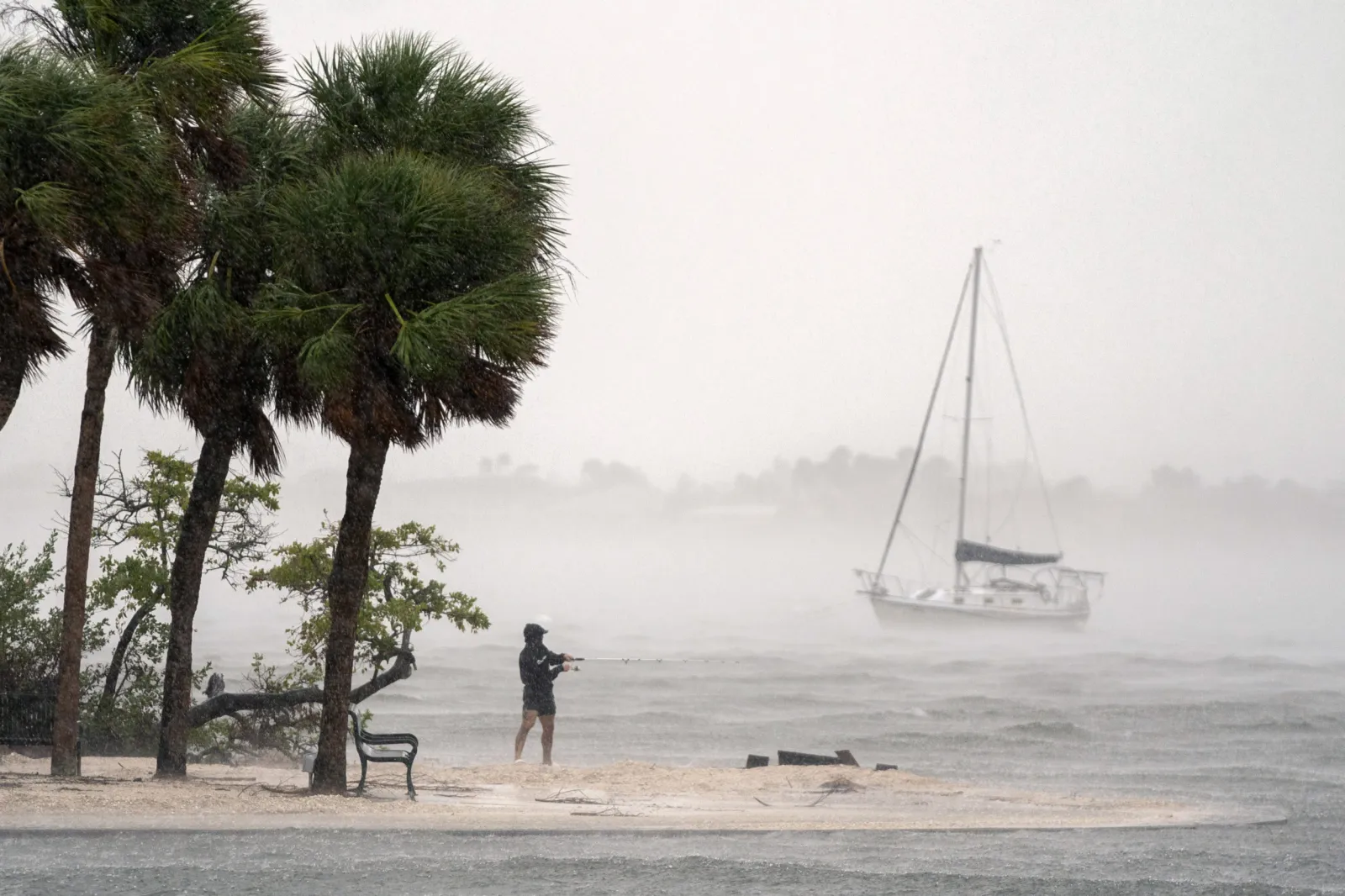 Hurricane Milton Reverse Storm Surge Sparks Warning in Tampa Bay - Newsweek