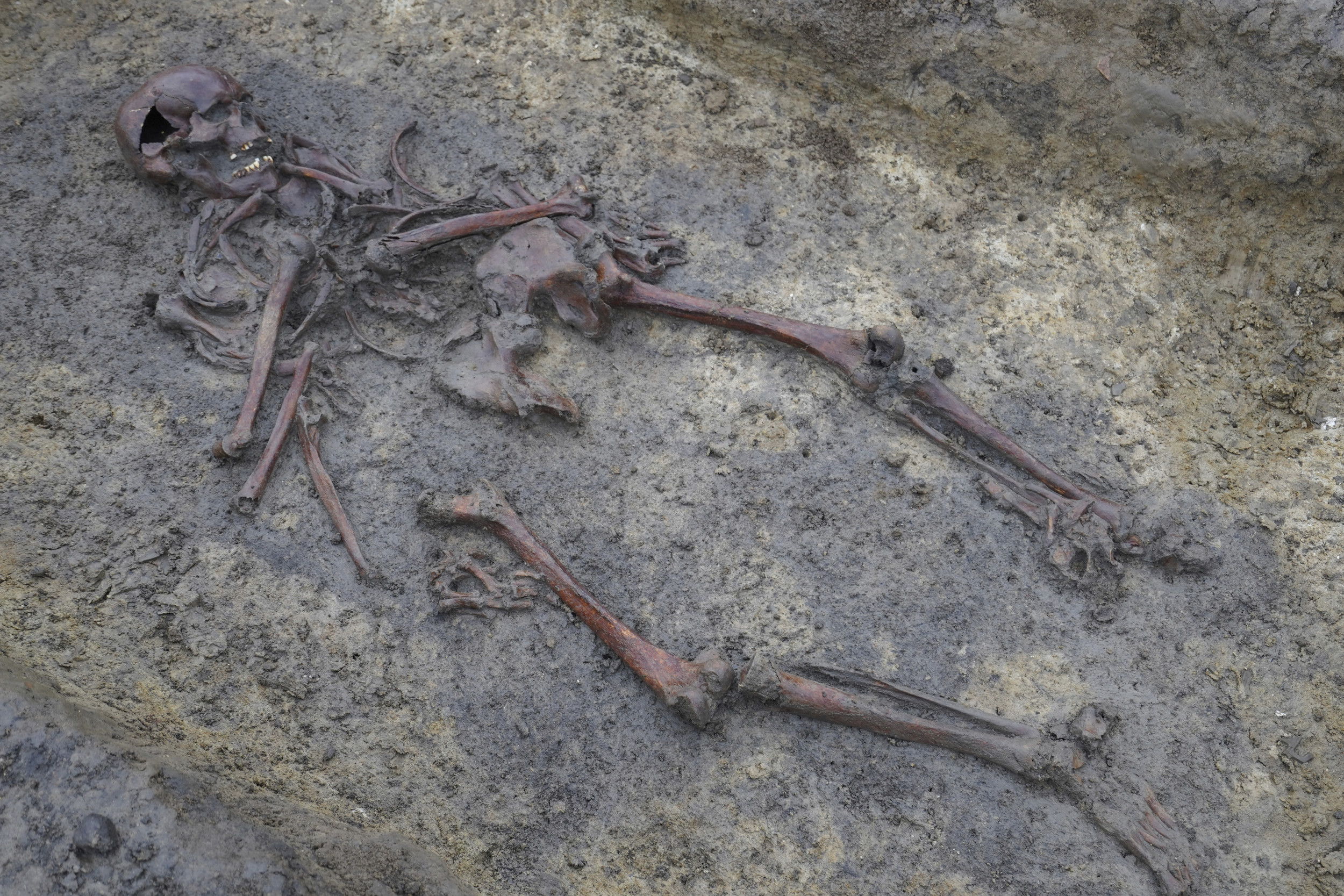 Archaeologists Find 50 'Exceptionally Well-Preserved' Viking-Era