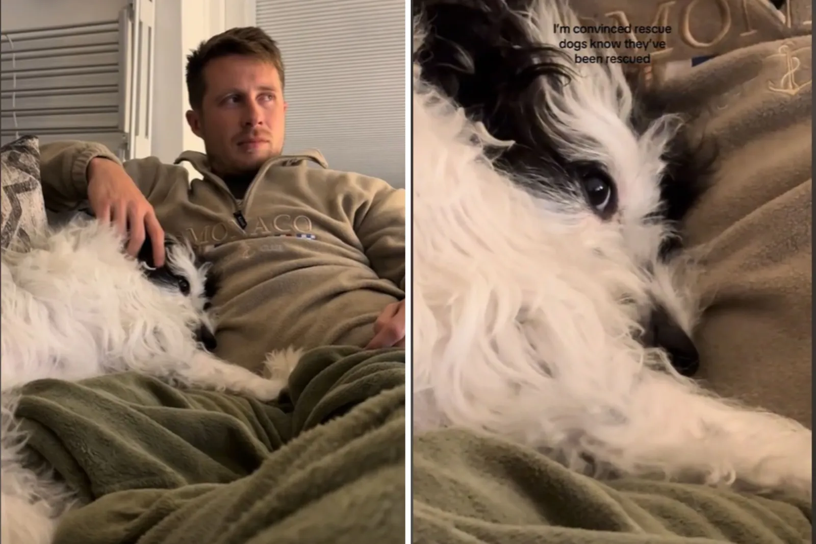 Dog Cozying Up With Owner on Sofa ‘Knows’ He’s Been Rescued