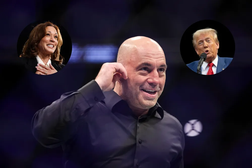 Joe Rogan Election Who Is Joe Rogan Voting For? We Asked ChatGPT - Newsweek
