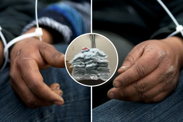 Border Agents Seize $11 Million Worth of Blue Fentanyl Pills - Newsweek