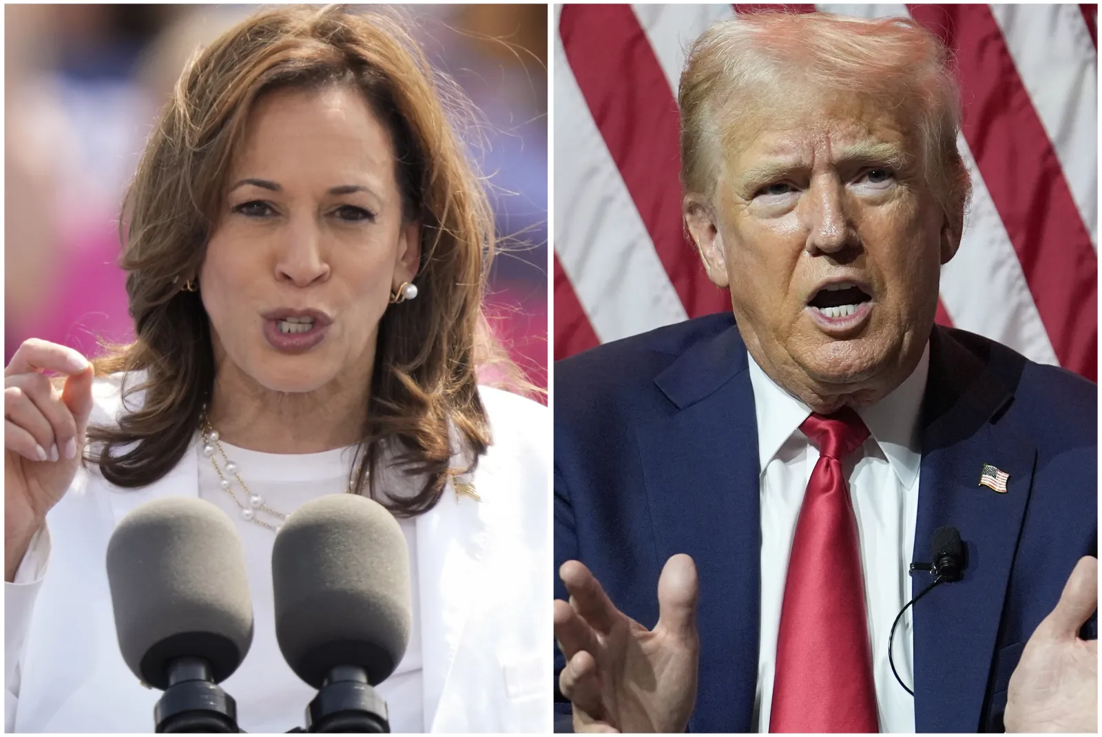 What Michigan Polls Show About Harris vs Trump as Both Hold Events in ...