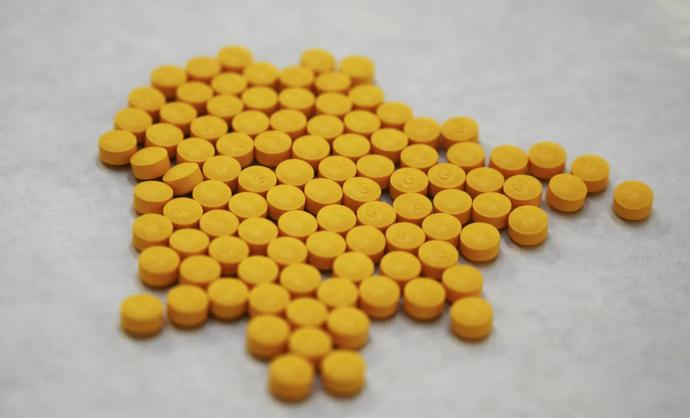 Border Agents Seize Enough Fentanyl to Kill 2 Million Americans - Newsweek