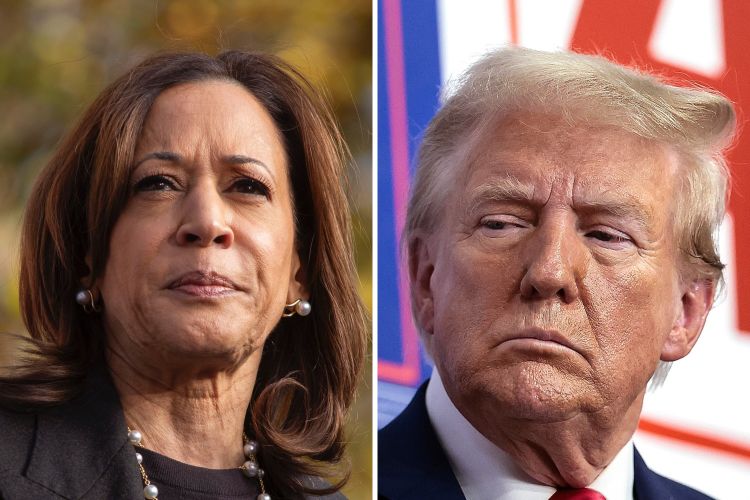 Donald Trump’s Reaction Compared to Kamala Harris on Yahya Sinwar’s ...