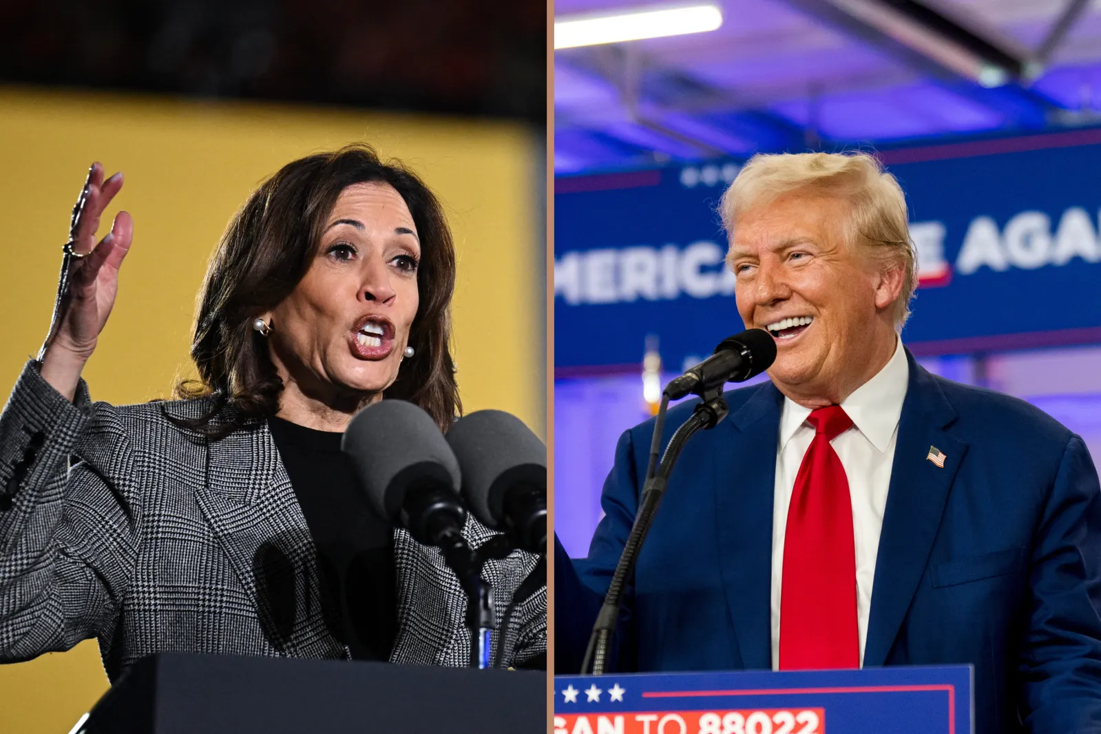 Donald Trump Gets Positive Sign in Critical Swing State Poll - Newsweek