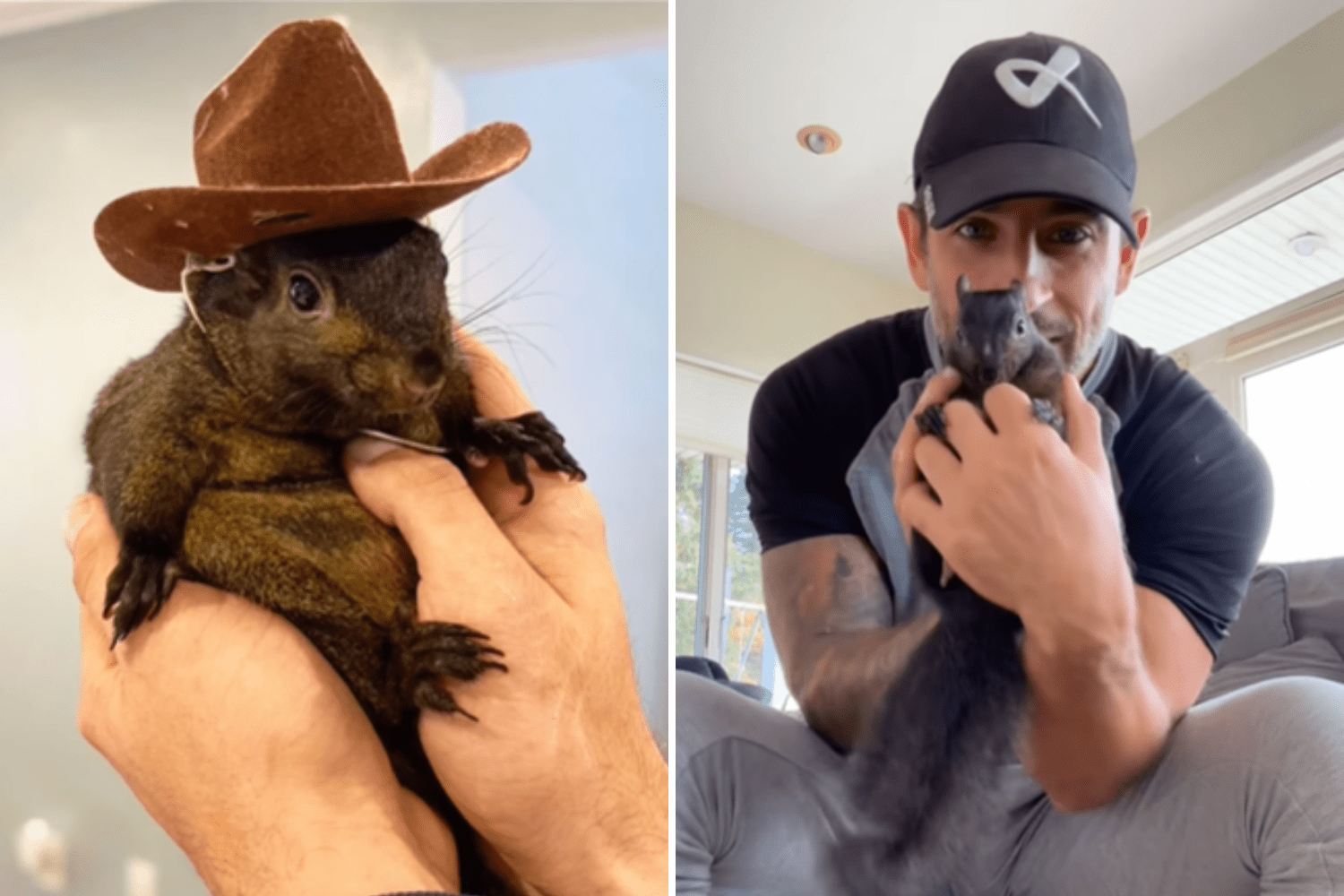 Owner of Internet-Famous Squirrel Euthanized by DEC Officials Speaks Out