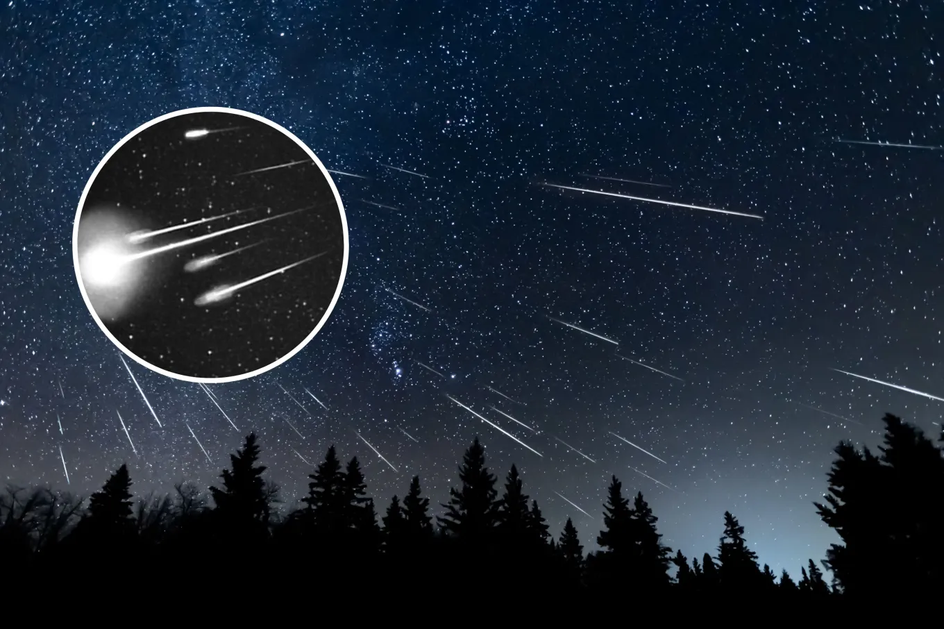 Meteor Next To Ruler Leonid Meteor Shower 2024: How To Watch It Peak Next Week - Newsweek