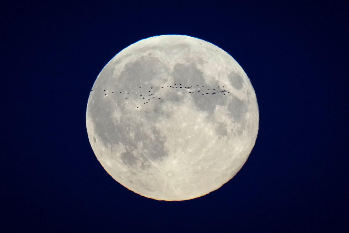 2519597-full-moon.jpg?w=1200& 