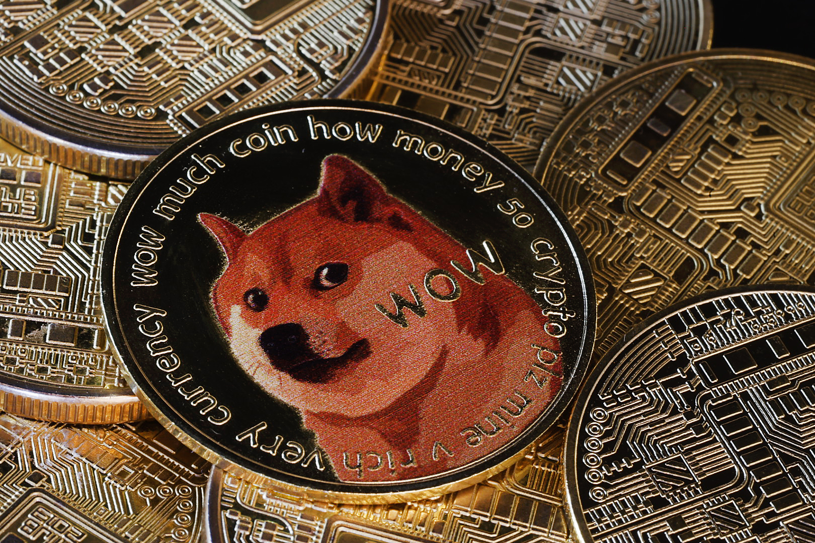 Dogecoin Value Skyrockets After Trump Announces Group Nicknamed DOGE -  Newsweek