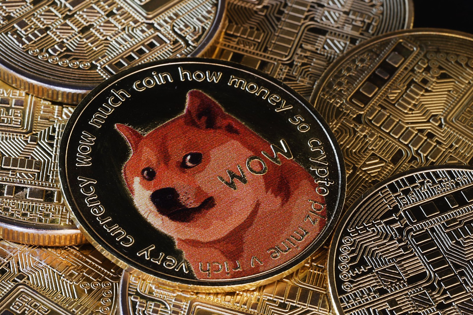 Dogecoin Value Skyrockets After Trump Announces Group Nicknamed DOGE -  Newsweek
