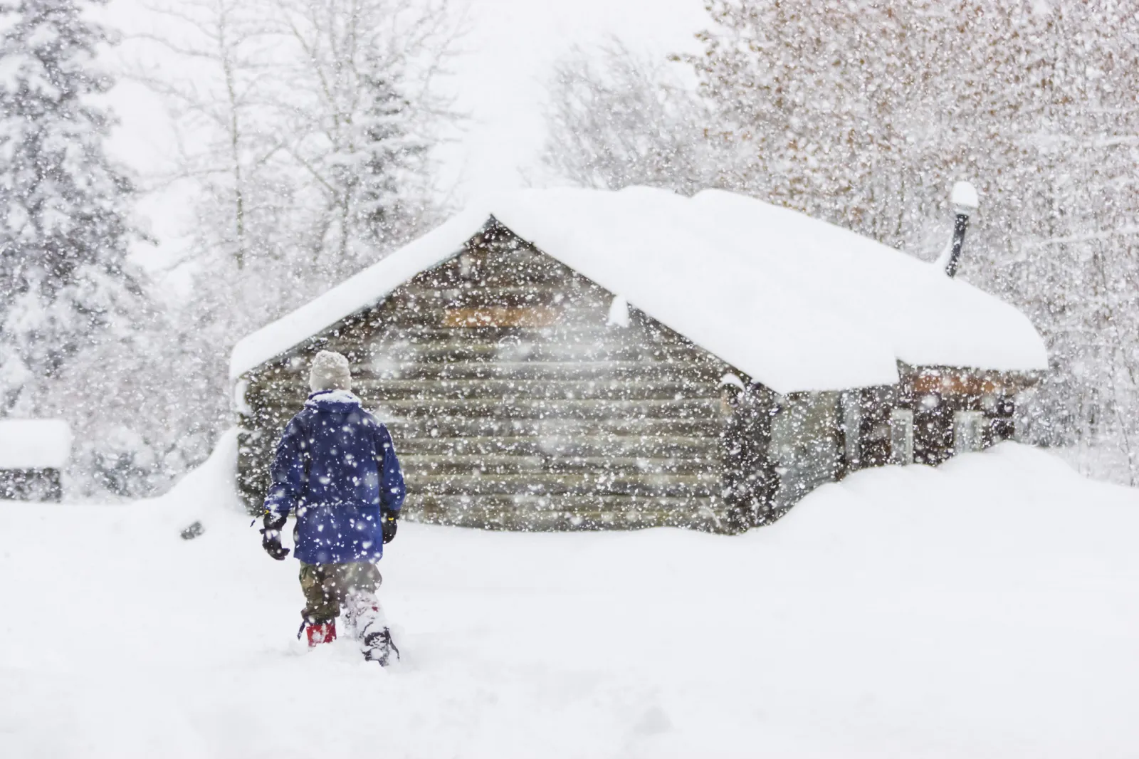 Winter Weather Warnings for 9 States as Nearly 3 Feet of Snow To Hit ...