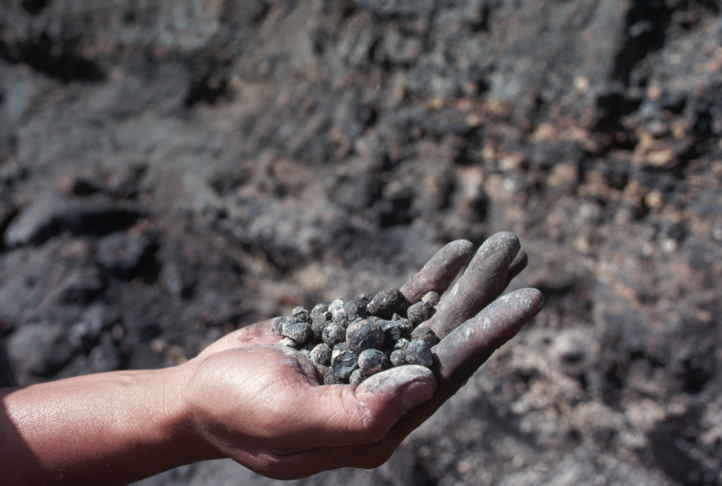 Japan Success Group THE MINERAL セット Japan's $26 Billion Discovery Could Change Its Fortunes - Newsweek