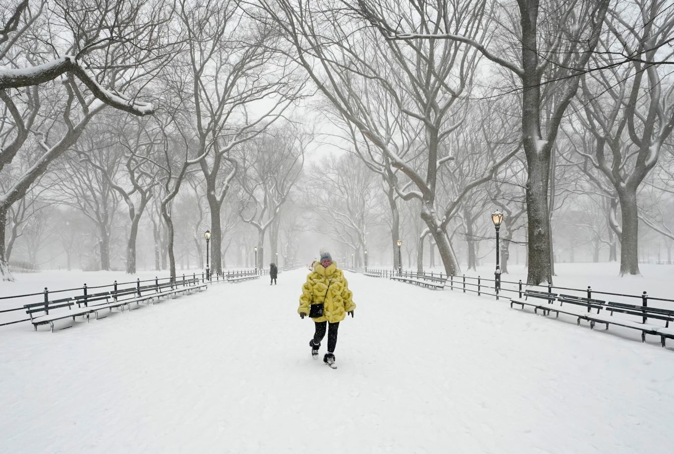 Winter Weather Warnings in 8 States As 12 Inches of Snow To Hit - Newsweek