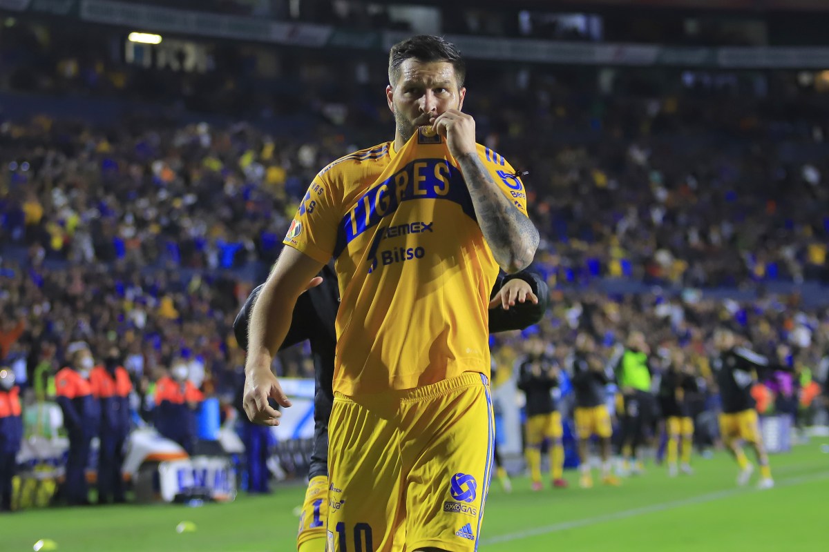 How to Watch San Luis vs Tigres UANL: Live Stream Liga MX Quarterfinals