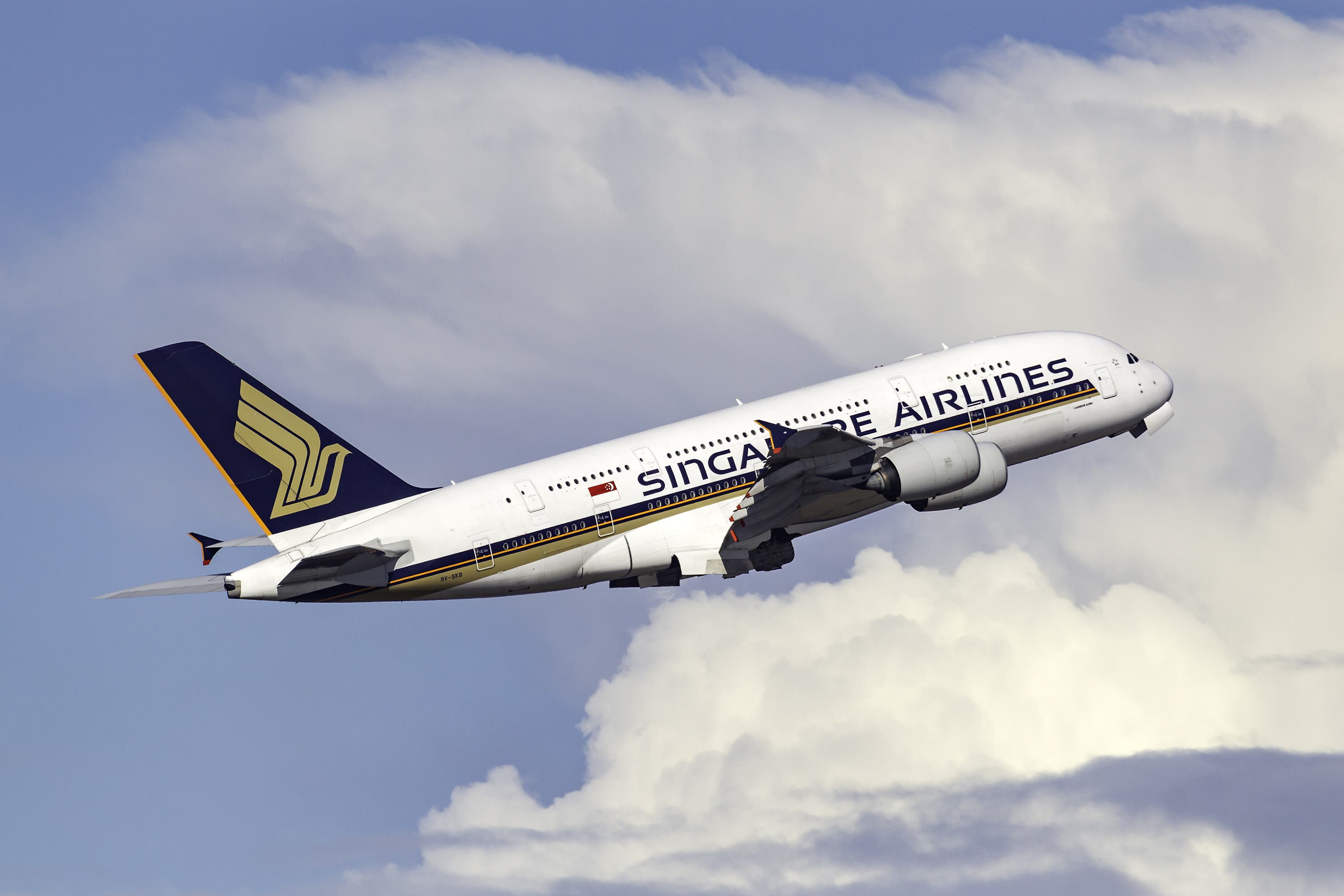 MEGA ARK｜SINGAPORE AIRLINE｜AIRBUS SERIES A majestic moment at #MumbaiAirport. Singapore Airlines